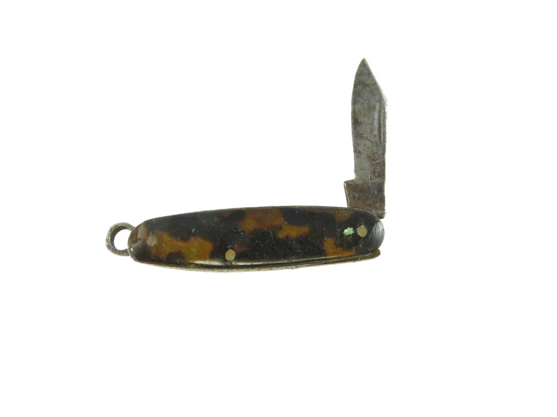 Small pocket knife with celluloid handle on a white background
