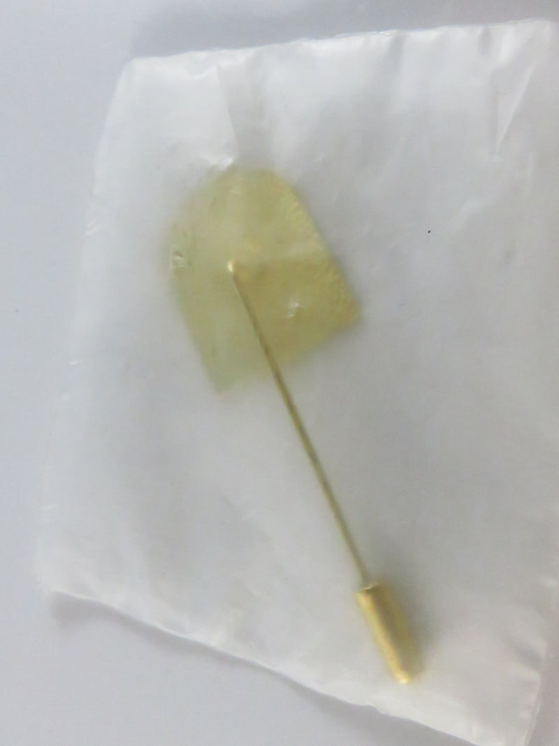 Vintage 20th Anniversary Red “R” Stick Pin (1969–1989)