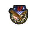 Vintage AMA Protecting Your Right to Ride motorcycle club patch eagle and flag 4" — front view