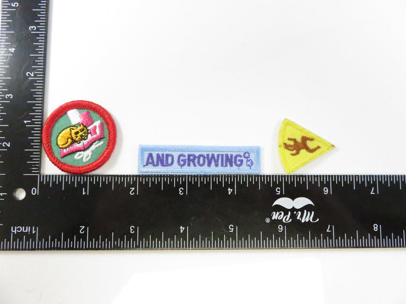 Girl Scout Fun Patch Collection – 8 Rounds, 1 Tab (“And Growing”), 1 Triangle – Unused Vintage