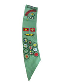 Girl Scout Sash Section with Council Tab, Membership Insignia, Brownie Wings, and Fun Patches — front view