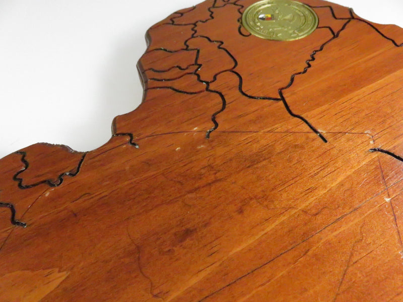 3rd Special Forces Group (Airborne) coin on Africa-map wood plaque, “Desert Rats • Caribs • Bushmen”