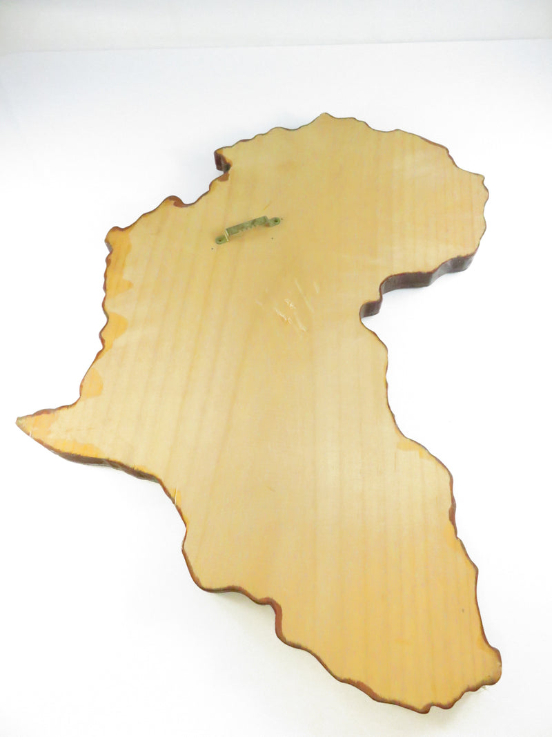 3rd Special Forces Group (Airborne) coin on Africa-map wood plaque, “Desert Rats • Caribs • Bushmen”