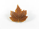 Resin Maple Leaf Pinback and Lapel Pin Autumn Fall Jewelry — front view