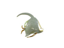 Vintage Angelfish Brooch Green Enamel Gold Tone Pinback and Lapel Pin — Gold, Enamel — front view