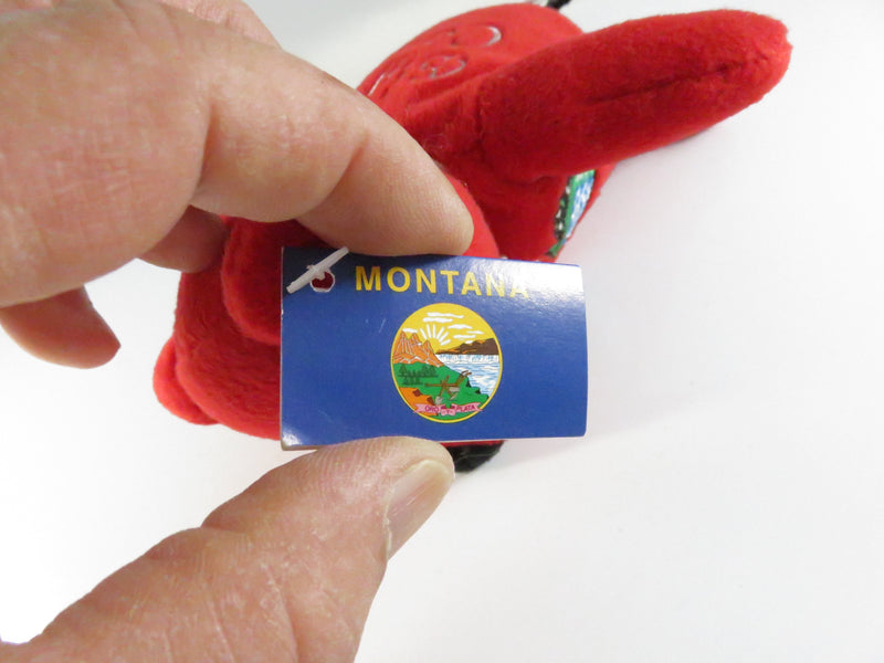 Symbolz® Montana Bear Plush ~7½" Souvenir Collectible