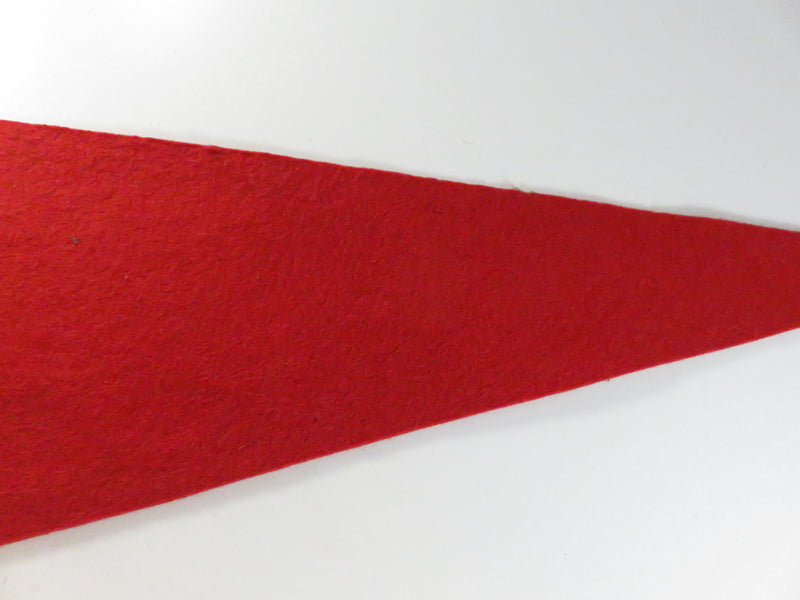 Vintage Ausable Chasm N.Y. Felt Souvenir Pennant – Rainbow Falls – Red with Cream Trim – approx. 17 1/4"