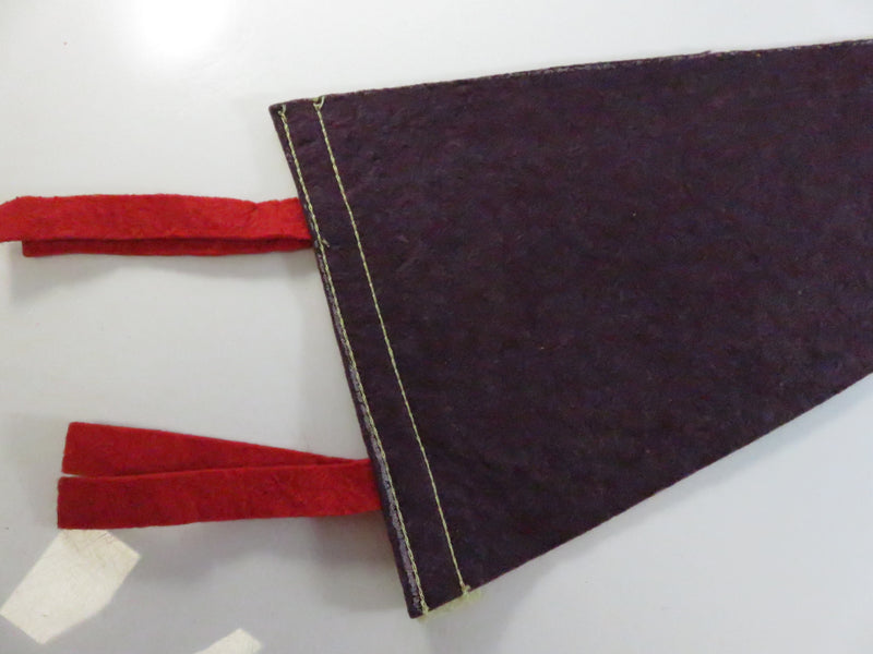 Vintage Ausable Chasm N.Y. Felt Souvenir Pennant – Rainbow Falls – Purple with white Hoist – approx. 17 1/4"