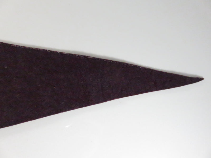 Vintage Ausable Chasm N.Y. Felt Souvenir Pennant – Rainbow Falls – Purple with white Hoist – approx. 17 1/4"