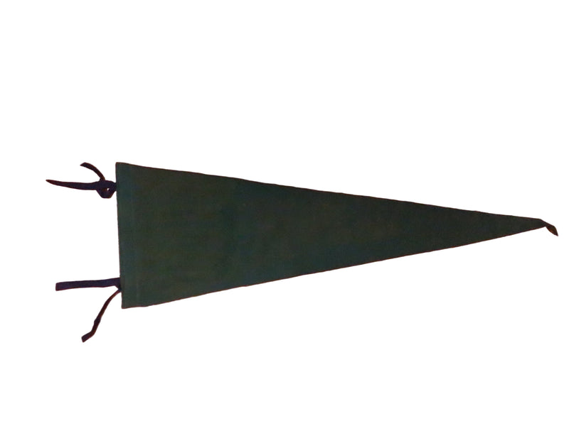 Vintage Naples Maine Felt Souvenir Pennant – “Sign Post in Maine” – White/Green with Blue Ties – approx. 26"