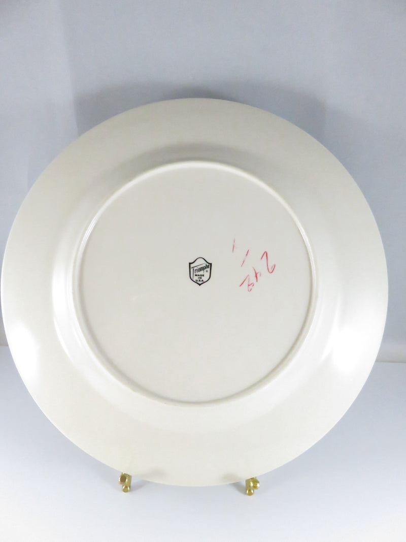 Delaware Souvenir Plate – State Landmarks Triomphe USA Gray Border 10¾”
