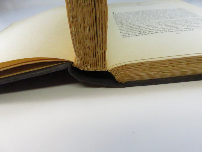 It Can’t Happen Here by Sinclair Lewis (Sun Dial Press, 1935) Vintage Political Fiction