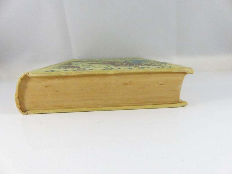 The Valley of Adventure by Enid Blyton 1949 Macmillan Reprint Hardcover