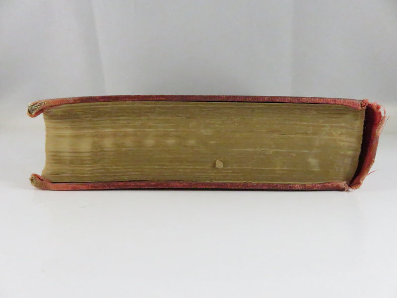 The Octopus A Story of California by Frank Norris 1901 Doubleday First Edition