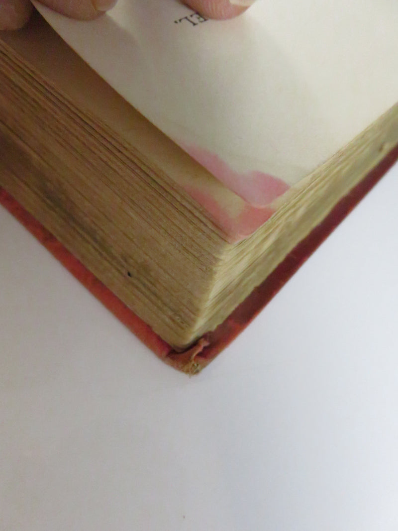 The Octopus A Story of California by Frank Norris 1901 Doubleday First Edition