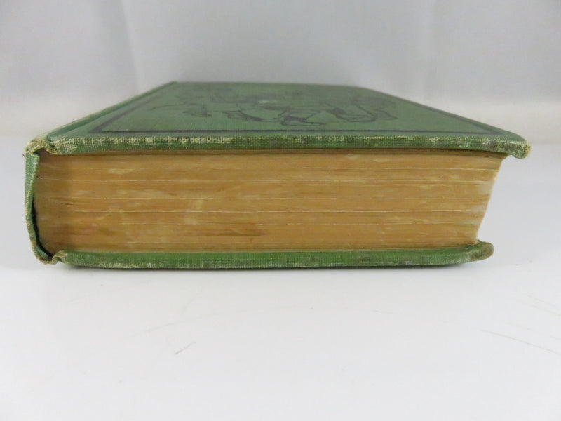 Five Little Peppers and Their Friends Margaret Sidney Illustrated Hermann Heyer Lothrop 1907