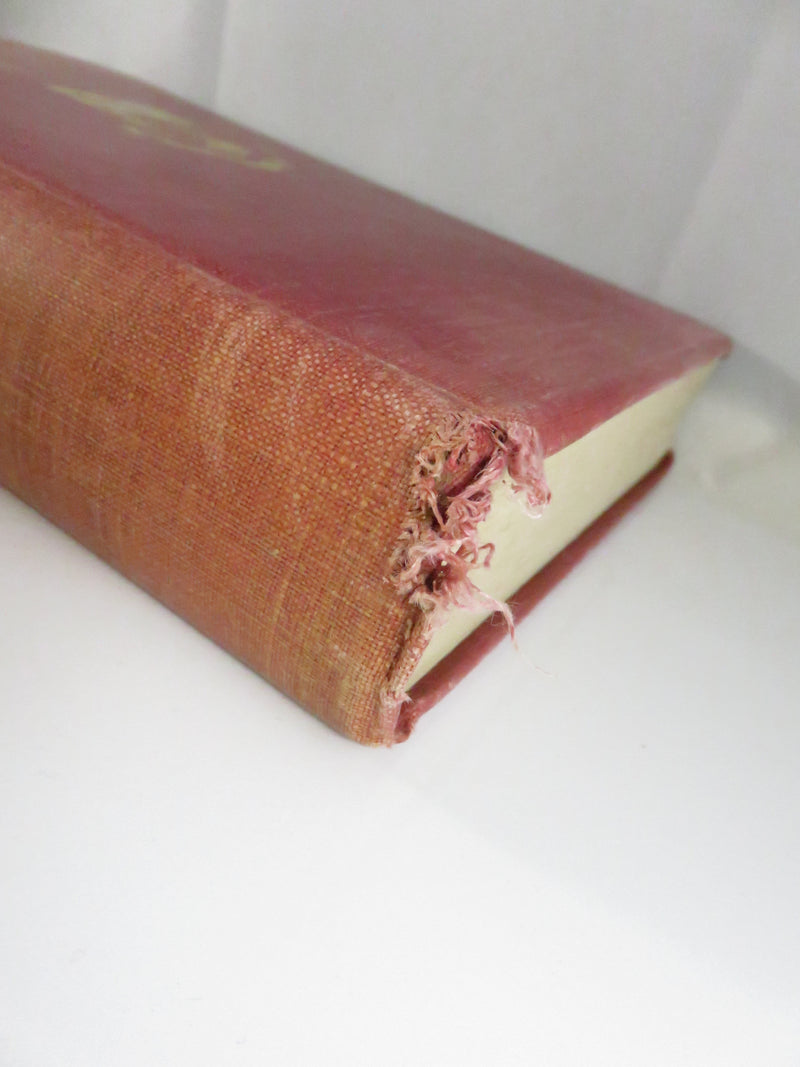Fighters of Derry by William R. Young, 1932 historical chronicle, cloth hardcover, fair condition