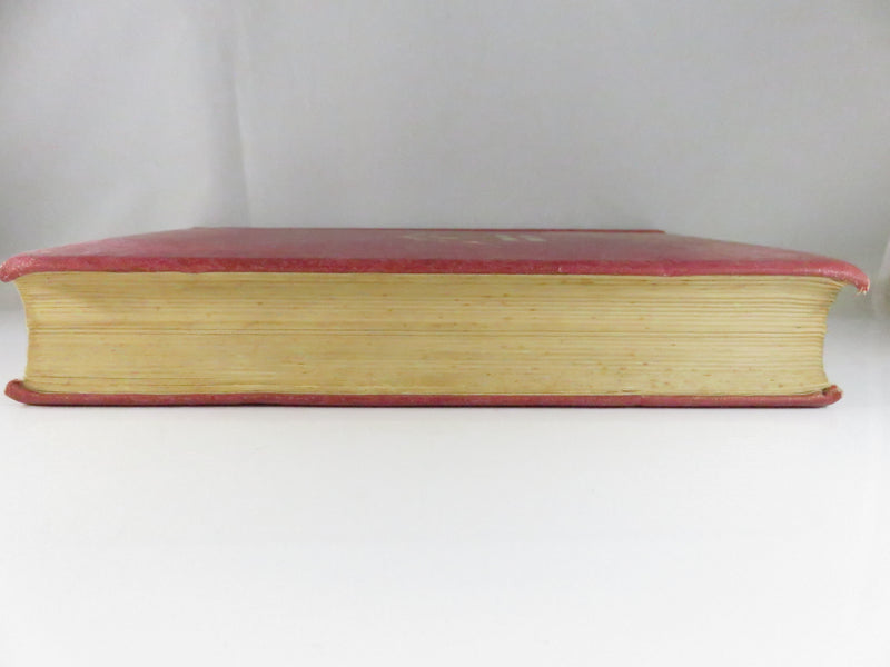 Fighters of Derry by William R. Young, 1932 historical chronicle, cloth hardcover, fair condition
