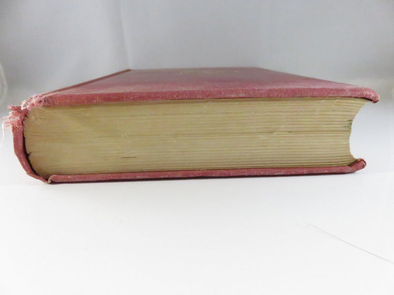 Fighters of Derry by William R. Young, 1932 historical chronicle, cloth hardcover, fair condition