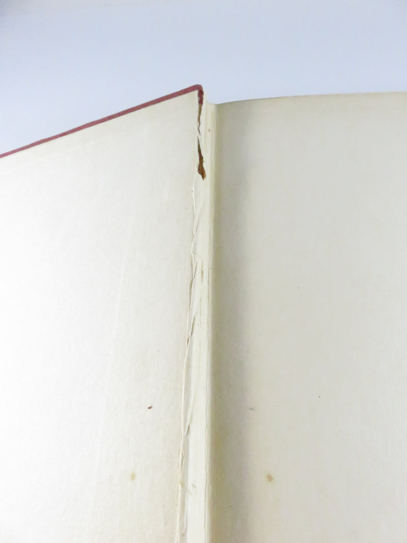 Fighters of Derry by William R. Young, 1932 historical chronicle, cloth hardcover, fair condition