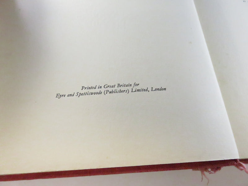 Fighters of Derry by William R. Young, 1932 historical chronicle, cloth hardcover, fair condition