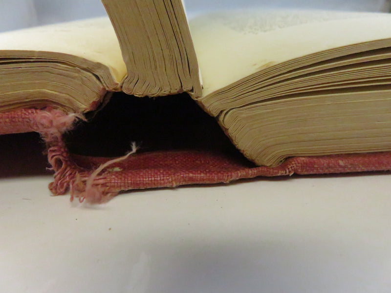 Fighters of Derry by William R. Young, 1932 historical chronicle, cloth hardcover, fair condition