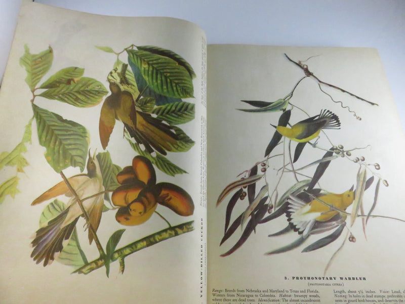 The Birds of America by John James Audubon, 1946 fifth printing (Macmillan), cloth hardcover with 435 color plates