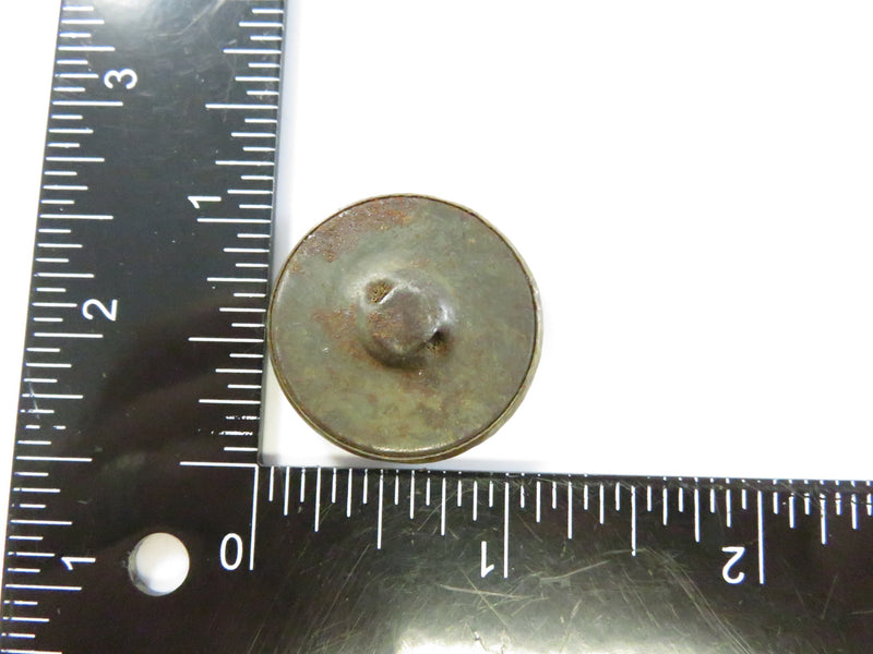 Antique Art Nouveau Brass Picture Button – Botanical Motif c.1890–1910