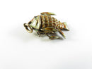 Vintage Wiggly Fish Enameled Articulated Koi Fish Pendant Charm Gilt Metal