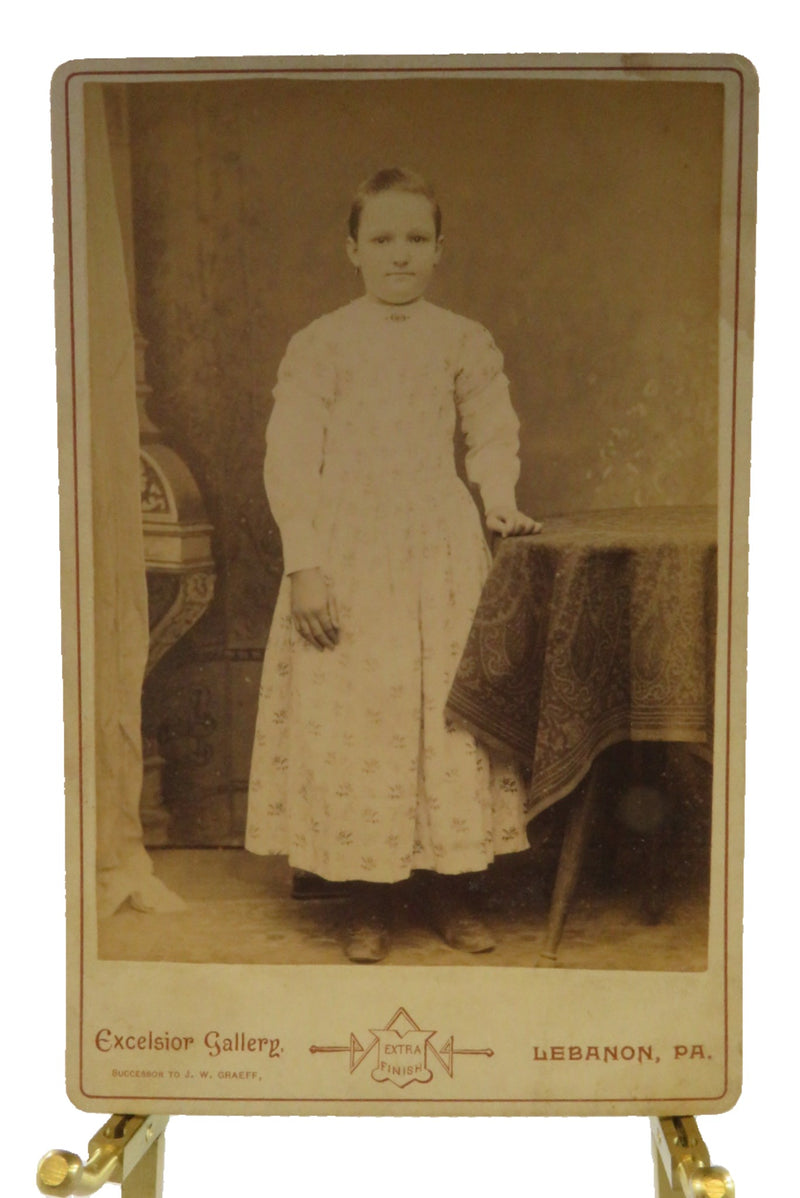 Young Farm Girl Unusual Dress Antique Cabinet Card Excelsior Gallery Lebanon, PA