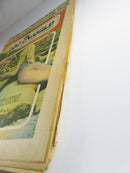 Zoo World Music Megapaper May 24 1973 No 33 Led Zeppelin Houses of the Holy product image for Just Stuff I Sell, clear front view, neutral background, original listing photo, optimized descriptive alt text, centered composition