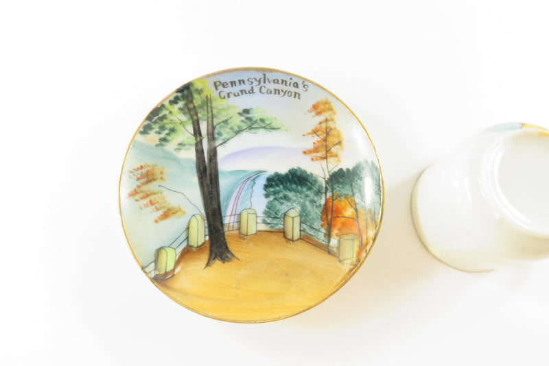 c1950 Rare Pennsylvania's Grand Canyon Tea & Saucer Hand Painted Travel Souvenir