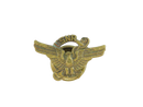 WWII USNR Naval Reserve Aviation Eagle Anchor Brass Screw Back Lapel Pin with Original Threaded Wheel Nut 7/8 Inch