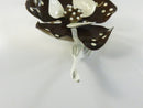 Vintage 1960s Brown White Polka Dot Enamel Flower Brooch and Clip On Earrings Set Mid-Century Costume Jewelry 3 5/8 Inch