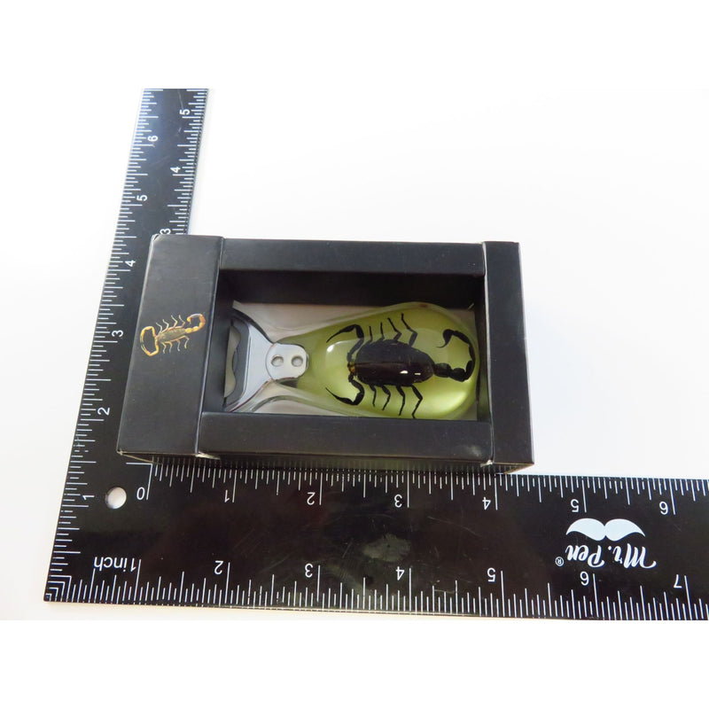 Real Black Scorpion In Resin Glow-In-The-Dark Handle Metal Bottle Opener In Original Box