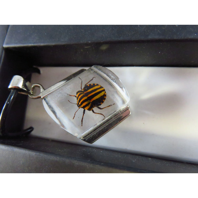 Red-Striped Stink Bug Resin Pendant Necklace With White Metal Accents & Original Box