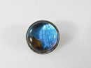 Unusual Antique Blue Morpho Butterfly Wing Brooch 925 Bubble Glass Brooch