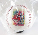 1998 Cleveland Indians Central Division Champions American League Baseball