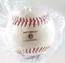 1995 Cleveland Indians Commemorative Baseball Division Champions Fotoball