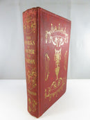 Angled view of the red cloth hardcover showing the gilt-stamped spine title, The Works of Cowper and Thomson Illustrated, and decorated front board.