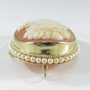 Vintage 14K F&F Felger Cameo Brooch Pendant with Pearl Surround