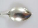 800 Silver Hand Painted Enamel Portrait Queen Wilhelmina Netherlands Spoon 5"