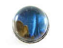 Unusual Antique Blue Morpho Butterfly Wing Brooch 925 Bubble Glass Brooch