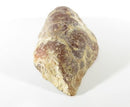 Natural Laguna Geode Half High Polished 181 Grams 3 5/8" x 2" x 1"