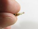 19th Century Miniature Painted Wood Doll 9/16" H Made of Tiny Wood Articulated