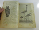 Birds Through the Year by Gilmore Hardcover Book with Bird Illustrations and Cut-Out Bird Images on Pages 125 and 227