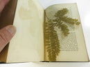 Overland Through Asia: Pictures of Siberian, Chinese, and Tartar Life by Thomas W. Knox 1870 First Edition Subscription Hardcover American Publishing Company Nearly 200 Illustrations Map