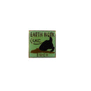 UKC Earth Work EWCH Award Lapel Hat Pin Square Gold Tone Seafoam Green & Black — Gold, Enamel — front view