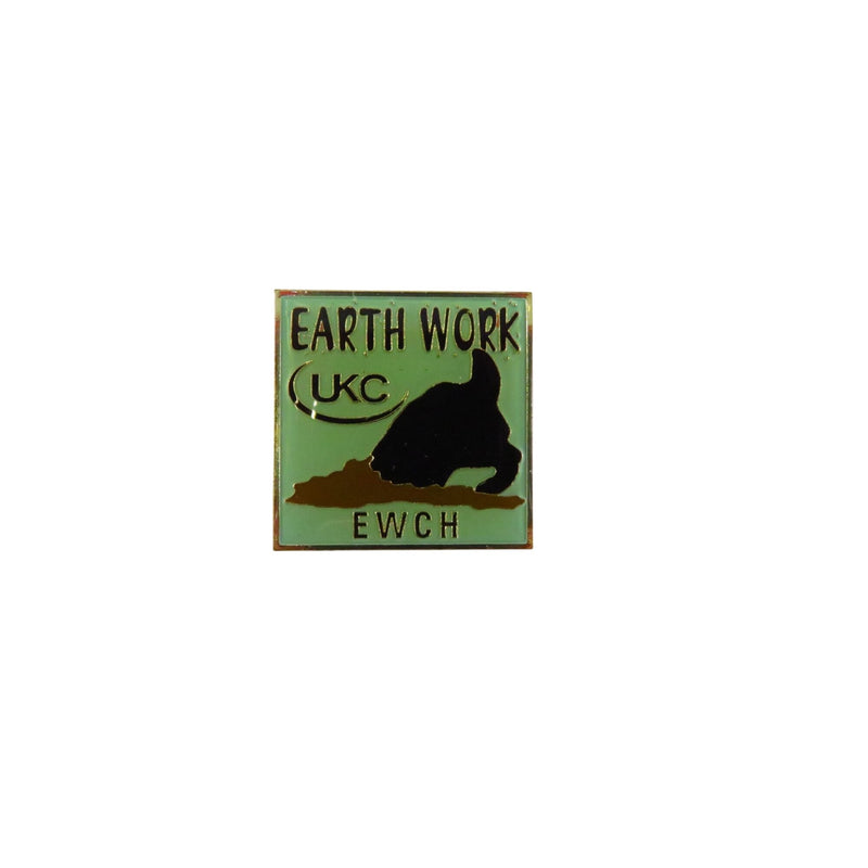 UKC Earth Work EWCH Award Lapel Hat Pin Square Gold Tone Seafoam Green & Black