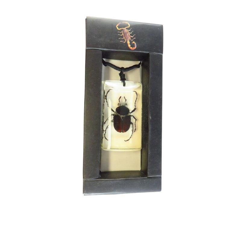 Antler Horned Beetle Pendant In Resin With Black Cord Necklace — front view